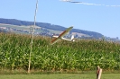 2012-08-18 Jahresmeisterschaft Teil 3