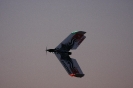 2013-08-01 Patriotisches Fliegen