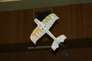 2013-11-16 Hallenfliegen