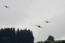 2014-07-26 Staffelwettbewerb Riggisberg