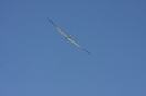 2014-08-24 Gebirgsausflug Vella