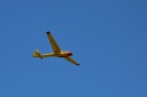 IMG_6388