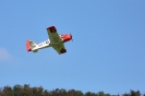 IMG_7657