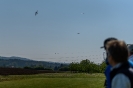 170422_staffeltreff_msvs_1277