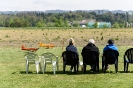 170422_staffeltreff_msvs_1369