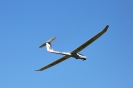 IMG_0912