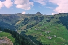 DJI_0113