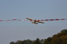 IMG_4581