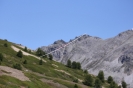 IMG_6640