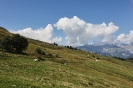 IMG_6663