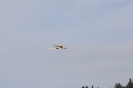 IMG_4716_1