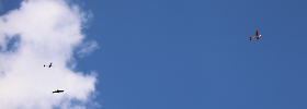 IMG_8825.crop
